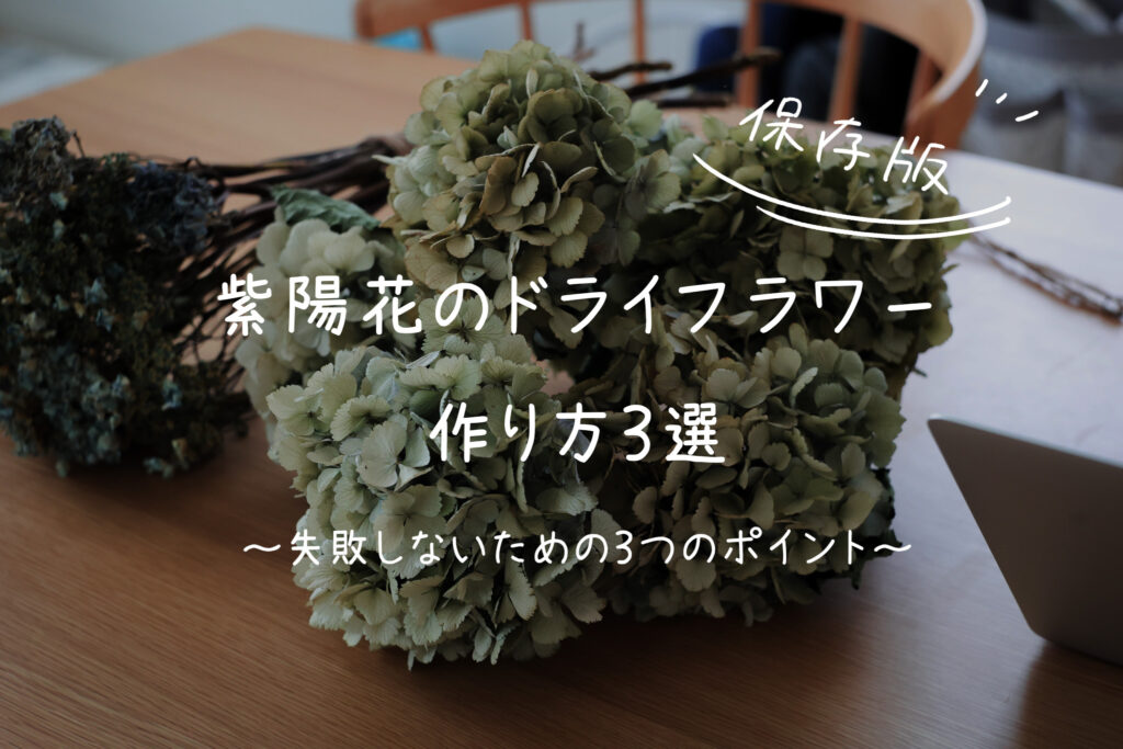 保存版】紫陽花のドライフラワーの作り方3選。失敗しないための3つの