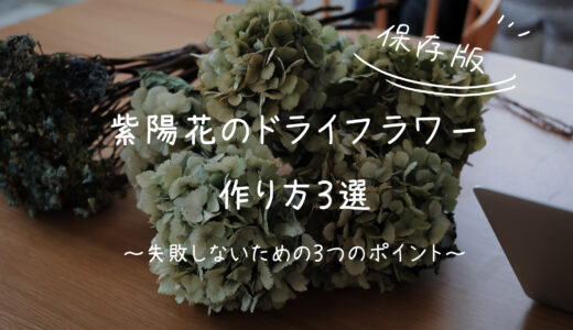 【保存版】紫陽花のドライフラワーの作り方３選。失敗しないための３つのポイント
